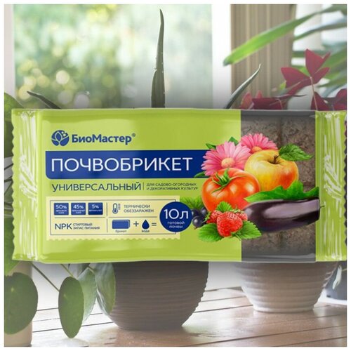 ������ ������ ����������� ��������� / ����� ��� ������� � ���� ����� ��������� � ������-��������� ��������, 10 ������ ����