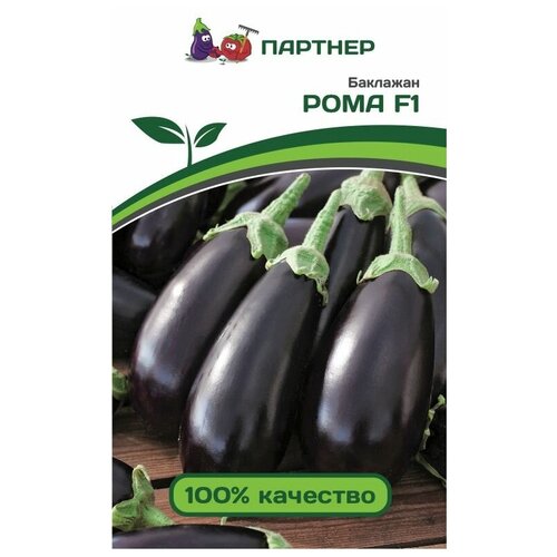 ������ ������ ������ ��������� 