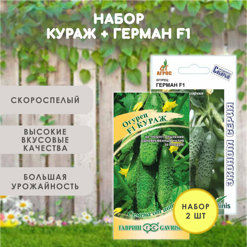 ������ ������ ������ ������� ����� + ������ ������, �������������, �����������, ����� 2 �� ����