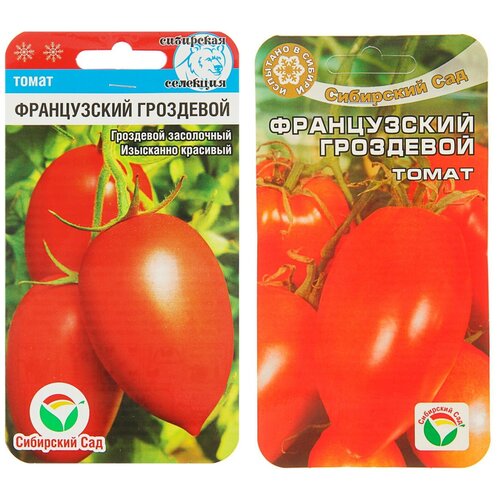 ������ ������ ������ ����� 