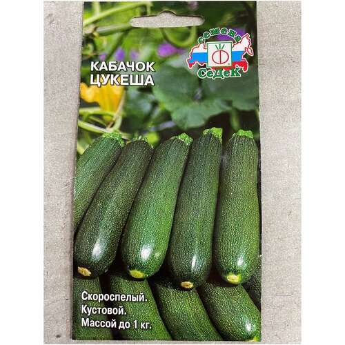 ������ ������ ������� ������ ����