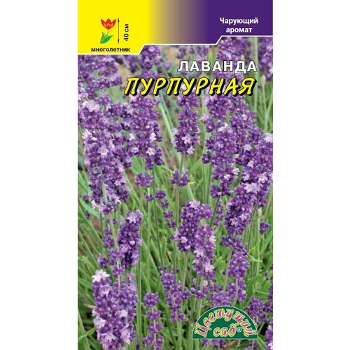 ������ ������ ������� ��������� �������� ������ (������ �������� ���, 5 ��. ����� � ��������) ����