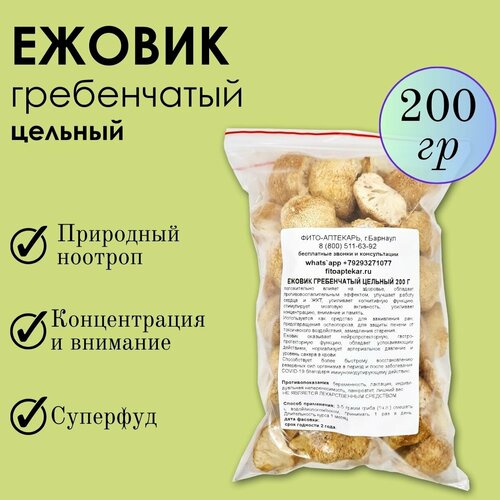 ������ ������ ���� ������ 