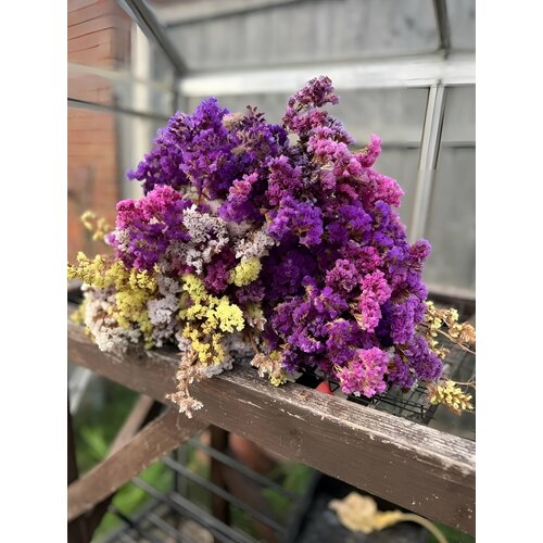 ������ ������ �������� ������� 70+ ����� ����� ����� ������� Pastel mix ������ �������� ����
