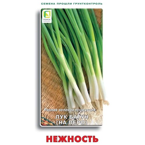 ������ ������ ������ ��� ����� �������� 1��. ����