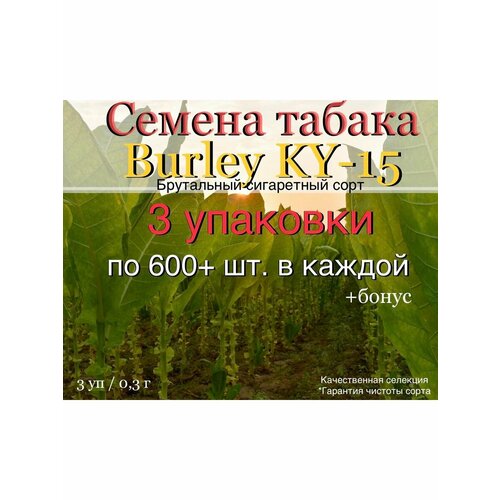 ������ ������ ������ Masloff-tobacco ����