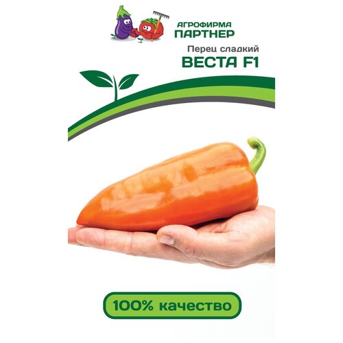 ������ ������ ������ ����� ������� 