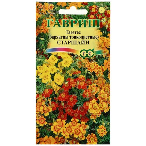 ������ ������ ������ ������ ������ �������� 