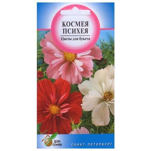 ������ ������ ������ �������� ������, 45 ����� ����