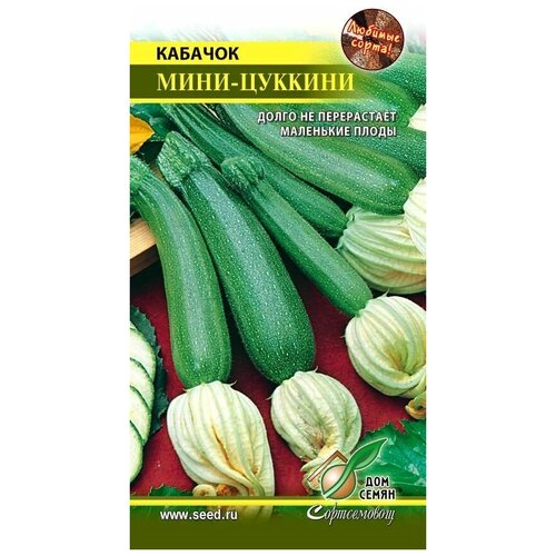 ������ ������ ������� ����-�������, 11 ����� ����