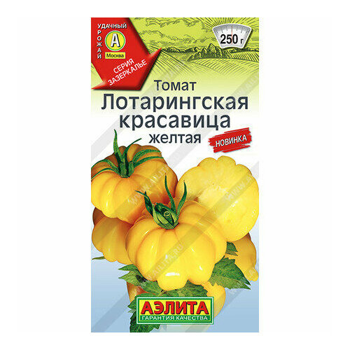 ������ ������ ������ ����� ������������ ��������� ������ 20�� ����� (������) ����