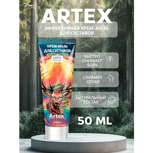 ������ ������ ������ ���� ��� �������� �������� ����