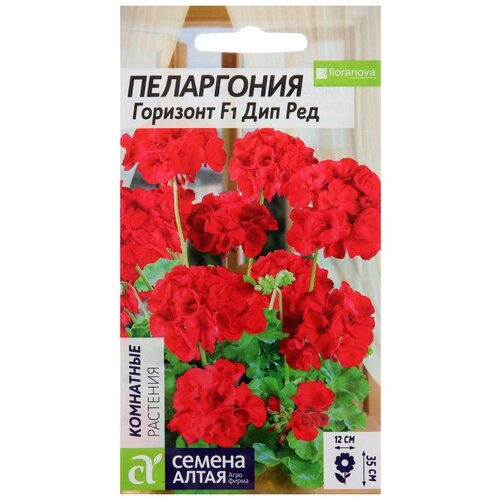 ������ ������ ������ ������ ���������� �������� 