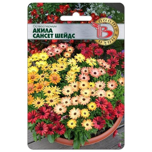 ������ ������ ������������ 