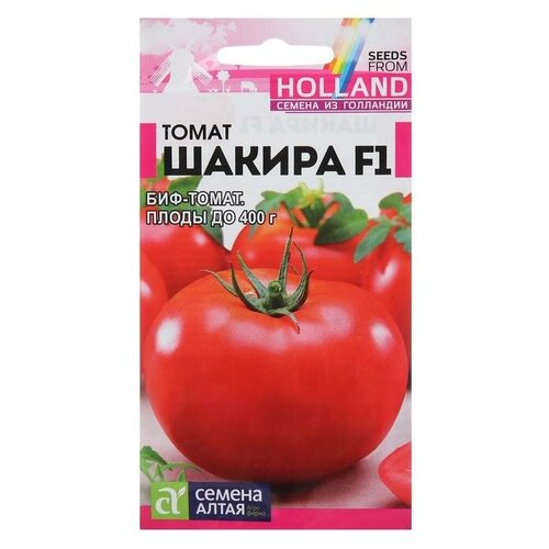 ������ ������ ������ ����� 