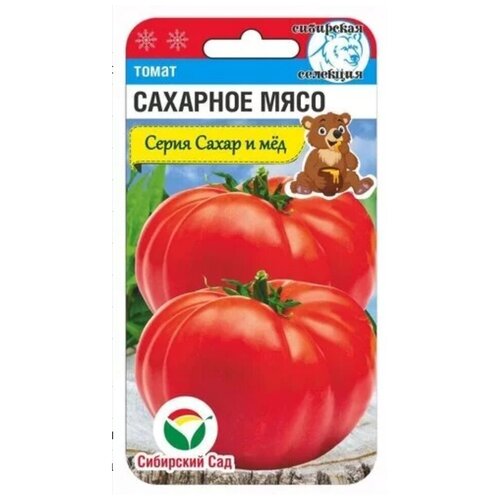 ������ ������ ������ ����� �������� ���� (20���) ����