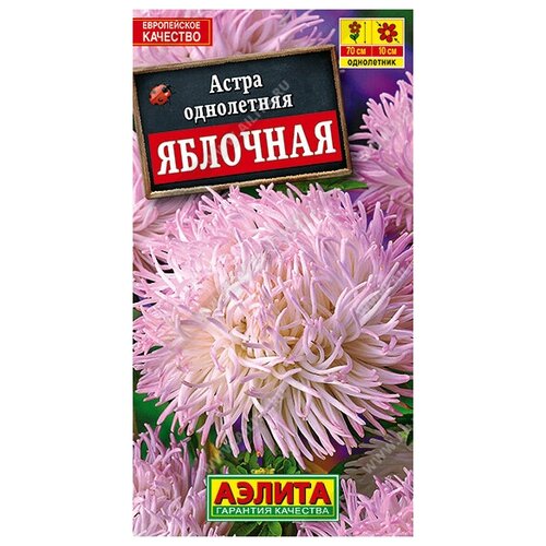 ������ ������ ������� ����� 