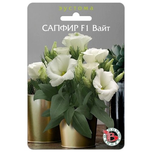 ������ ������ ������ ������� (����������) 