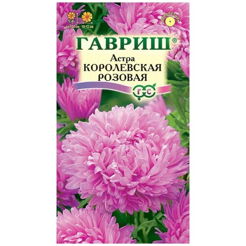 ������ ������ ������. ����� ����������� 