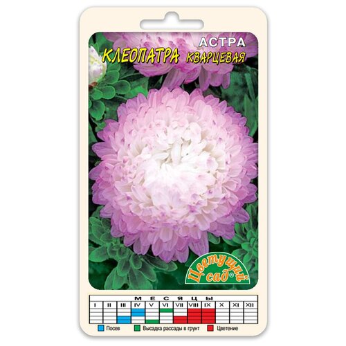 ������ ������ ����� ����� ��������� ��������� (������ �������� ��� 0,2 �) ����