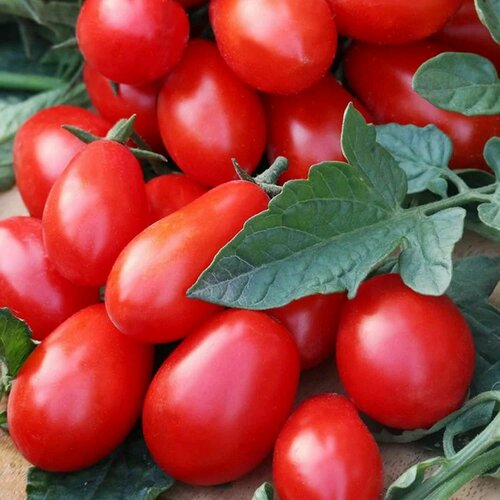 ������ ������ ����� F1 ������� �������� 5 ���� ����� ������� ������ ����