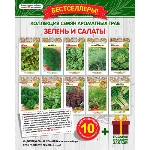 ������ ������ ����� ����� ������ � ������ (10 ������� + 1 ����� � �������) ������ ����