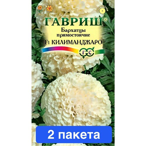 ������ ������ ����� �������� ������������ ������������ F1 2 ������ ����