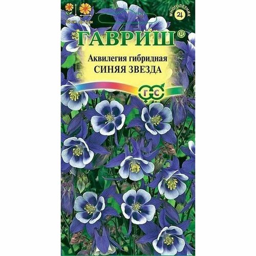 ������ ������ ������ ��������� ��������� ����� ������, �����������, (������) 0,1� ����