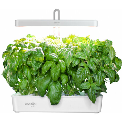 ������ ������ ����������� ��������� Cactus Garden CS-LEDPOT-10 2.0� 20�� ����� ����