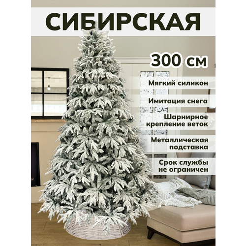 ������ ������ ���� ������������� ����� �� ������ ������ ������� ����