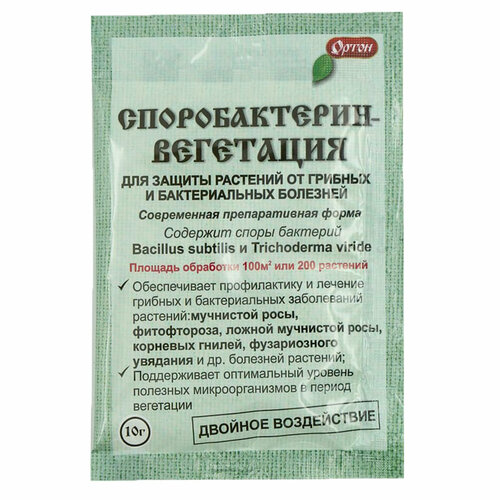 ������ ������ �������������-��������� ��� ������ �������� �� ������� � ������������� ��������, 10 � ����