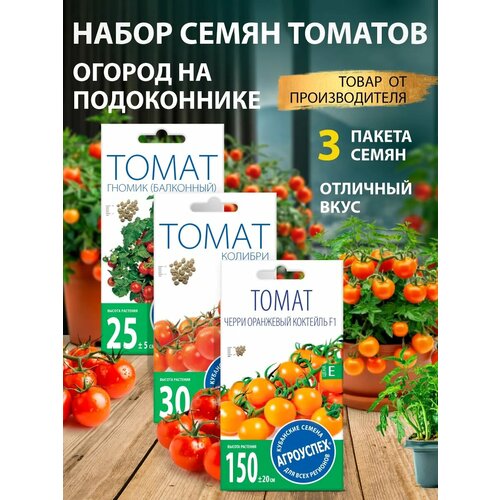 ������ ������ ����� ������� ����� ��� ����������� �� ������� ����