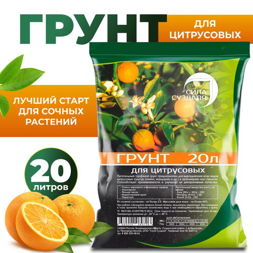 ������ ������ ����� ��� ���������� �������� ���� ������� /���������������� ��������, 20 � ����