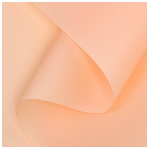 ������ ������ ������ ����������� ����-���� 