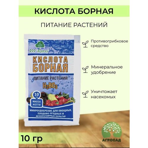 ������ ������ �������� ������ �������� �� �������� ������� ������ ����