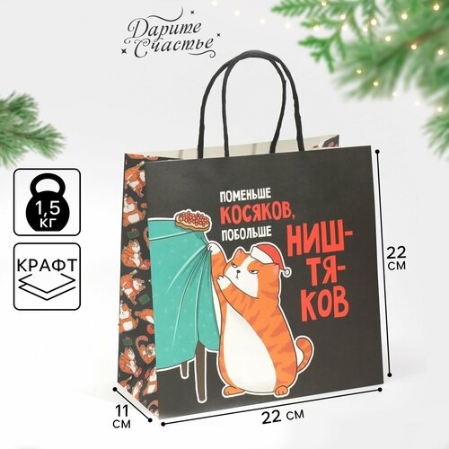 ������ ������ ����� ���������� ������� ���� ��, 22 � 22 � 11 ��, ����� ��� ����