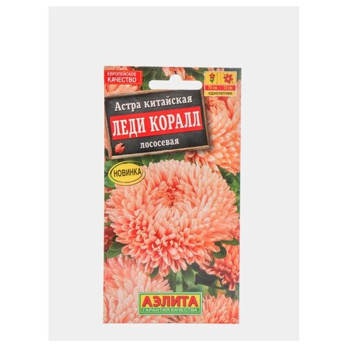 ������ ������ ������. ����� 