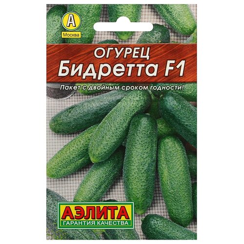 ������ ������ ������ ������ 