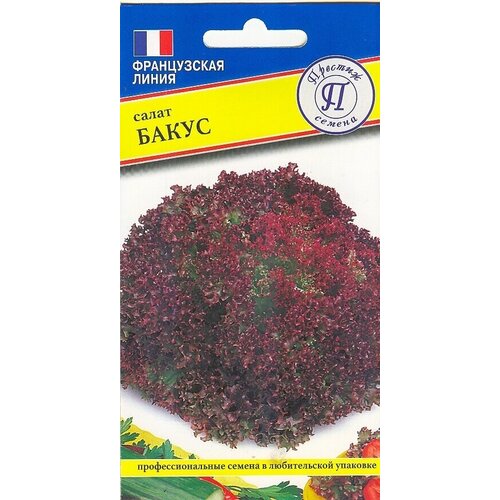 ������ ������ ����� �����. ������. �������� ���� �����, �������� �����, � �������� ������ ������������� � ������� ���� �������. ����� �������� 280 ��. ����