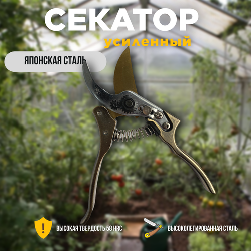 ������ ������ ������� ������� ��������� 