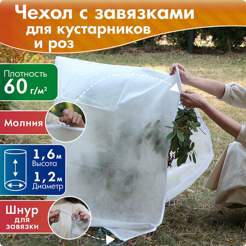 ������ ������ ����� ��� ����������� � ��� ������ 1,6 �, ������� 1,2 � ����