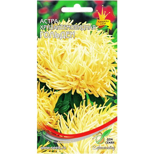 ������ ������ ����� ���������������� �������, 85 ����� ����