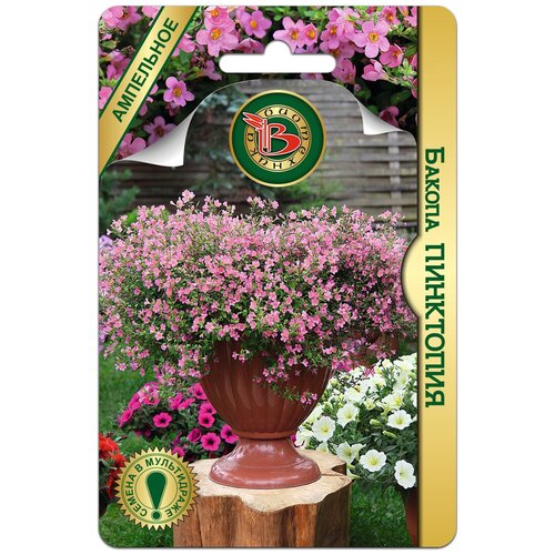 ������ ������ ����� ������ ��������� (������ ���������� 5��) ����