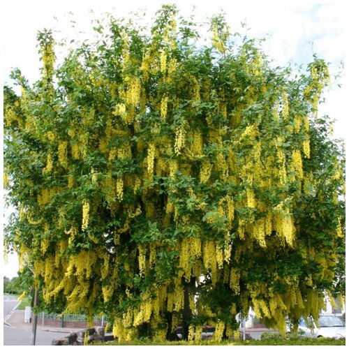 ������ ������ ������ ������ �������� ������� ����� 10 ��. ����