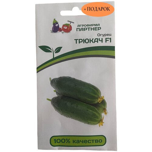 ������ ������ ������ ������ F1 5 ����� � �������� ����