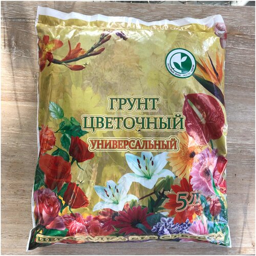 ������ ������ ����� ��� ������� 5 � ����