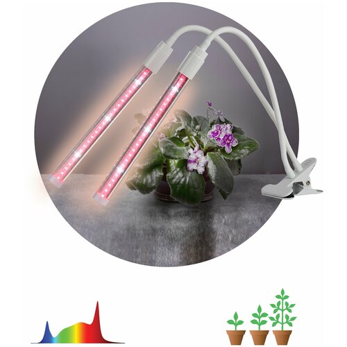 ������ ������ ���������� ��� �������� �� �������� ��� FITO-20W-�LED-L ������� ������� 12 �� �����, 1�� ����