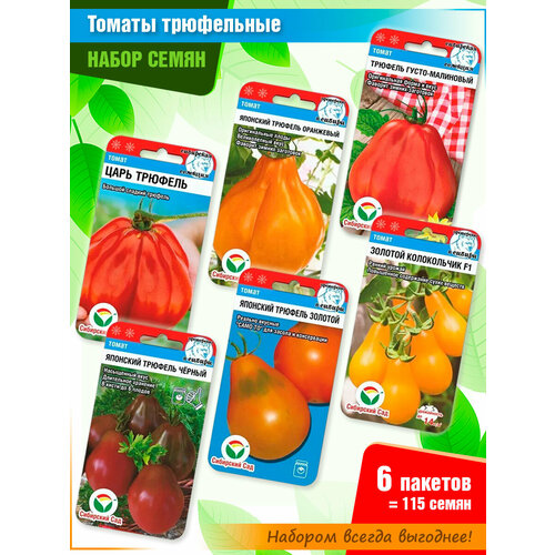 ������ ������ ����� ����� ������� 