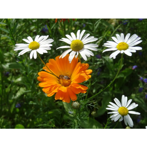 ������ ������ ��������� ������������� ������ ��� ������ 20 ����� � ������� ����