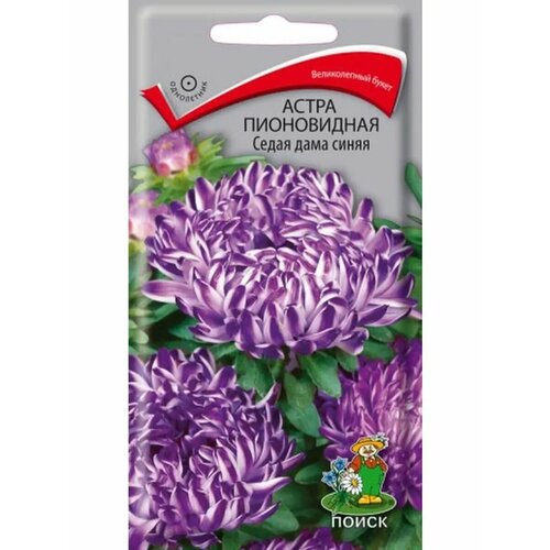 ������ ������ ����� ����������� 